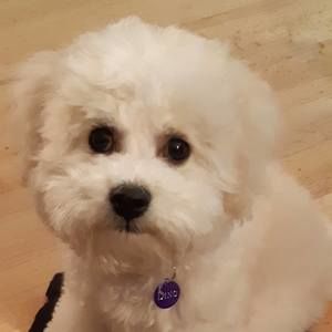 Meet your Posher, Maria